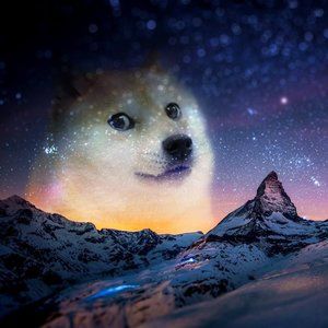 Meet your Posher, Shib